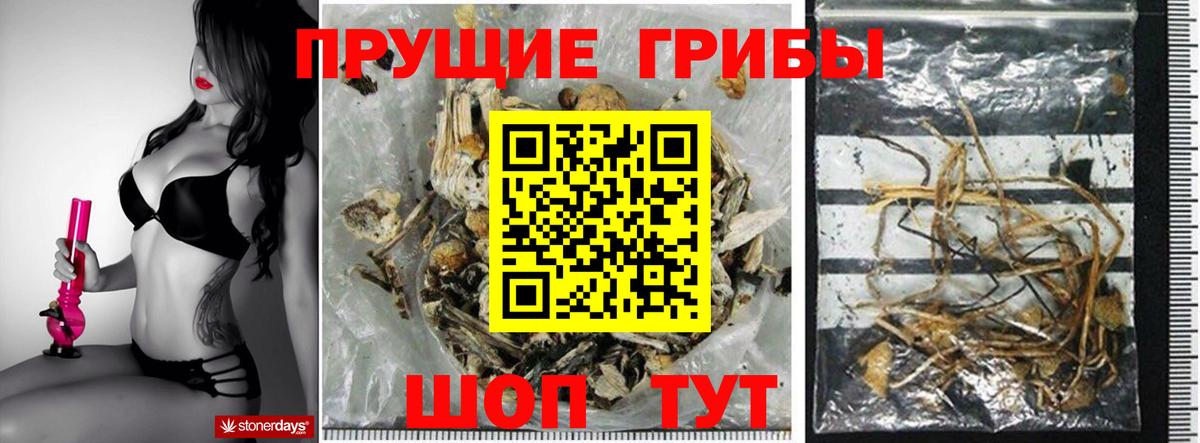 Галлюциногенные грибы Cubensis  Галлюциногенные грибы Cubensis  Коммунар  Вход с VPN 