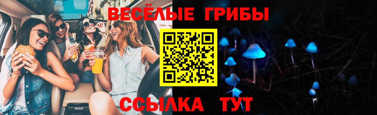 Галлюциногенные грибы MAGIC MUSHROOMS Коммунар